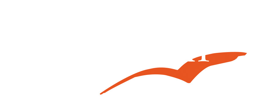 Logo AIB studi